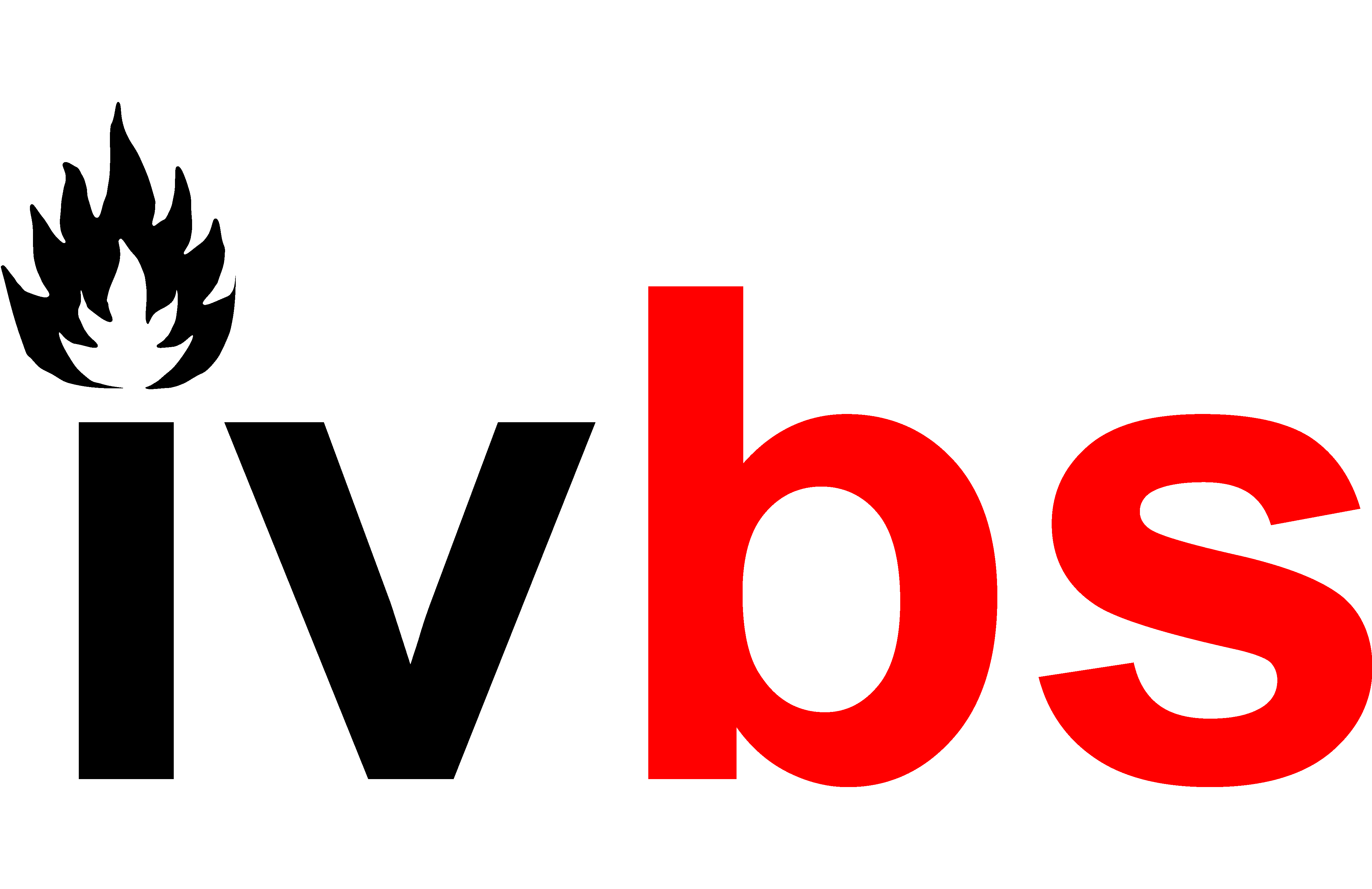 ivbs - Ingenieurvereinigung Brandsimulation e.V.